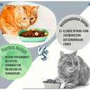 Katzenspielzeug Zubehör für Katzen Starter Set Interaktiv 25 Teile Paket