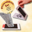 Katzenspielzeug Zubehör für Katzen Starter Set Interaktiv 25 Teile Paket